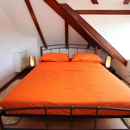 Kampanel تروغير